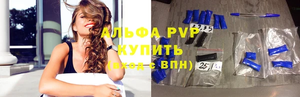крисы Алексин