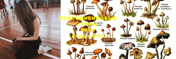 марки lsd Видное