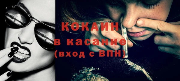 крисы Алексин