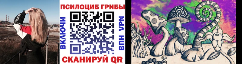 Псилоцибиновые грибы GOLDEN TEACHER  Сельцо 
