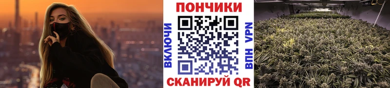 МАРИХУАНА OG Kush  Сельцо 
